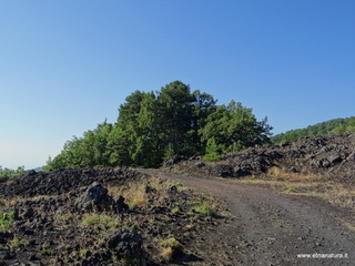 nte Rinatu-15-09-2019 09-11-47